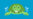 Sea Turtle
