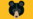 Black Bear